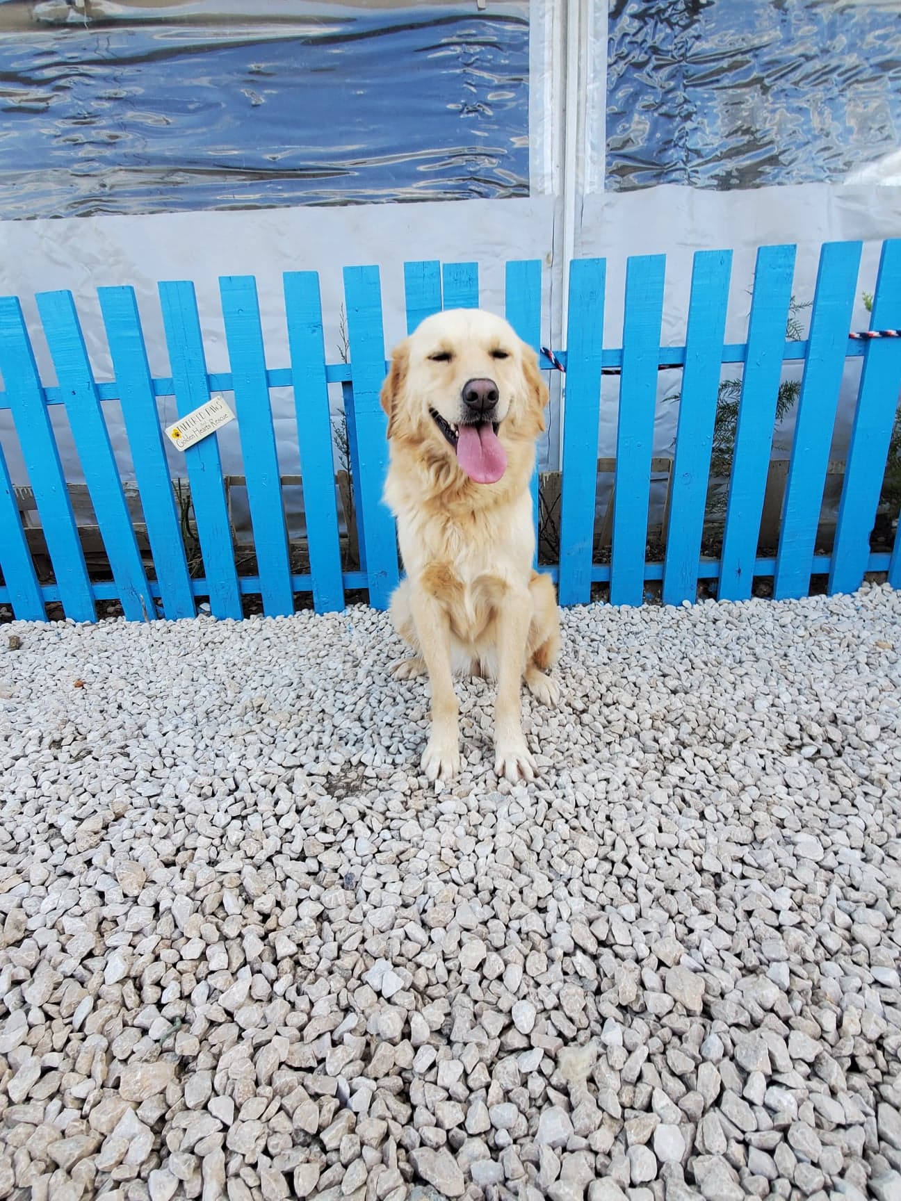 Ruthie (fka Parsley) 